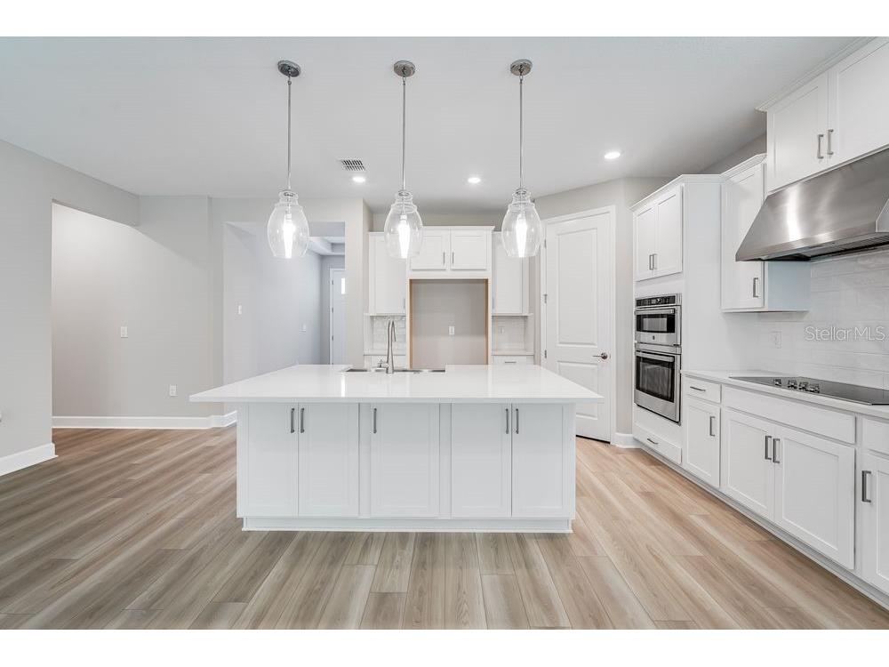 3407 Lumber Falls Drive Plant City FL 33565 TB8372709 image2