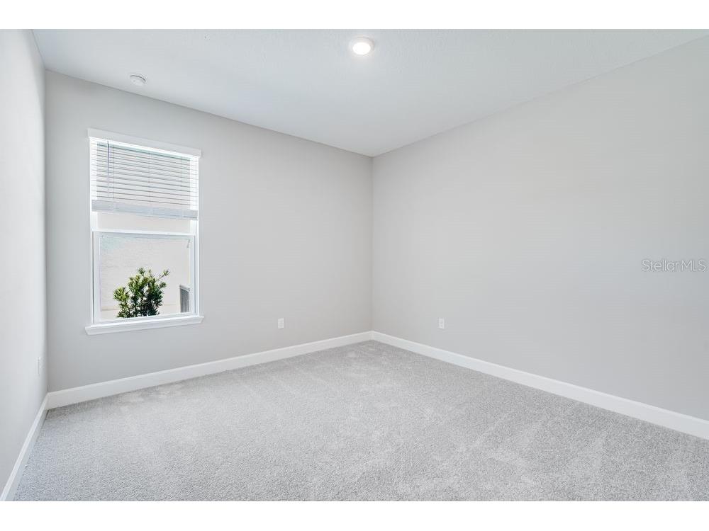 3407 Lumber Falls Drive Plant City FL 33565 TB8372709 image7