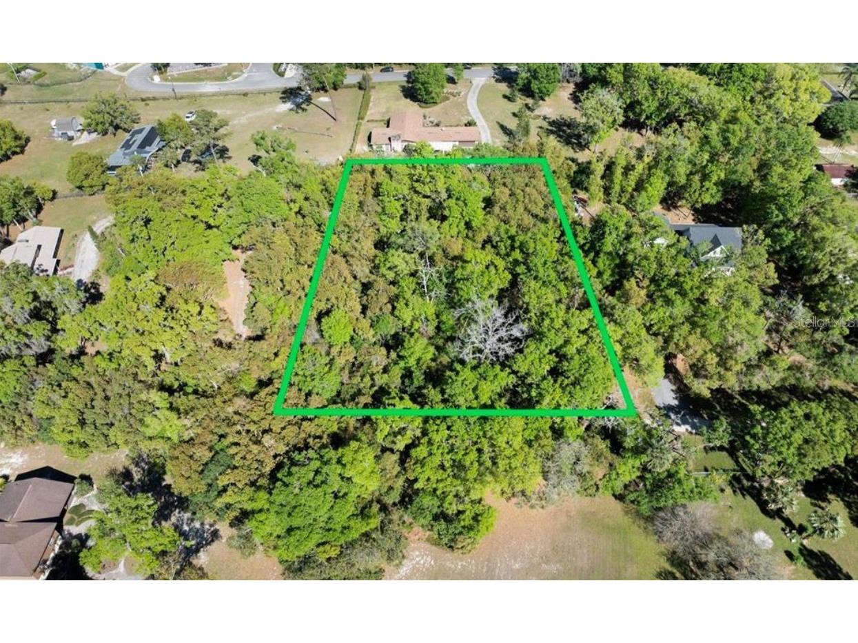 3407 Robinson Street Zellwood FL 32798 O6361917 image1