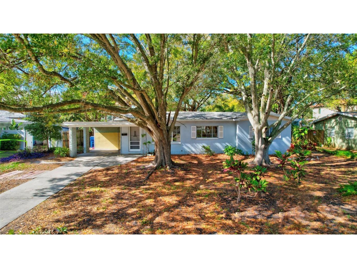 3407 S Lightner Drive Tampa FL 33629 T3455021 image1