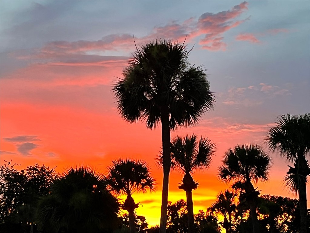 3407 Santa Monica Drive Orlando FL 32822 S5129852 image34