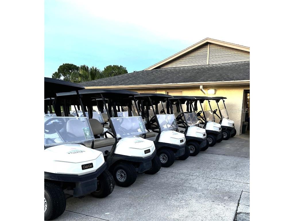 3407 Santa Monica Drive Orlando FL 32822 S5129852 image36