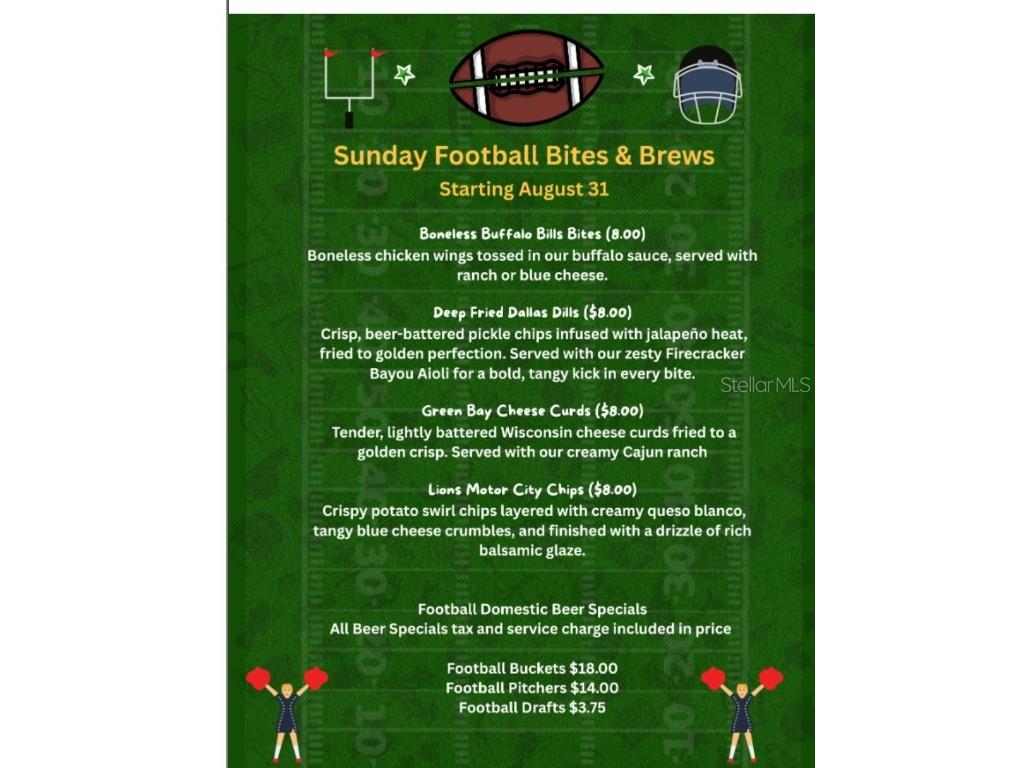 3407 Santa Monica Drive Orlando FL 32822 S5129852 image43