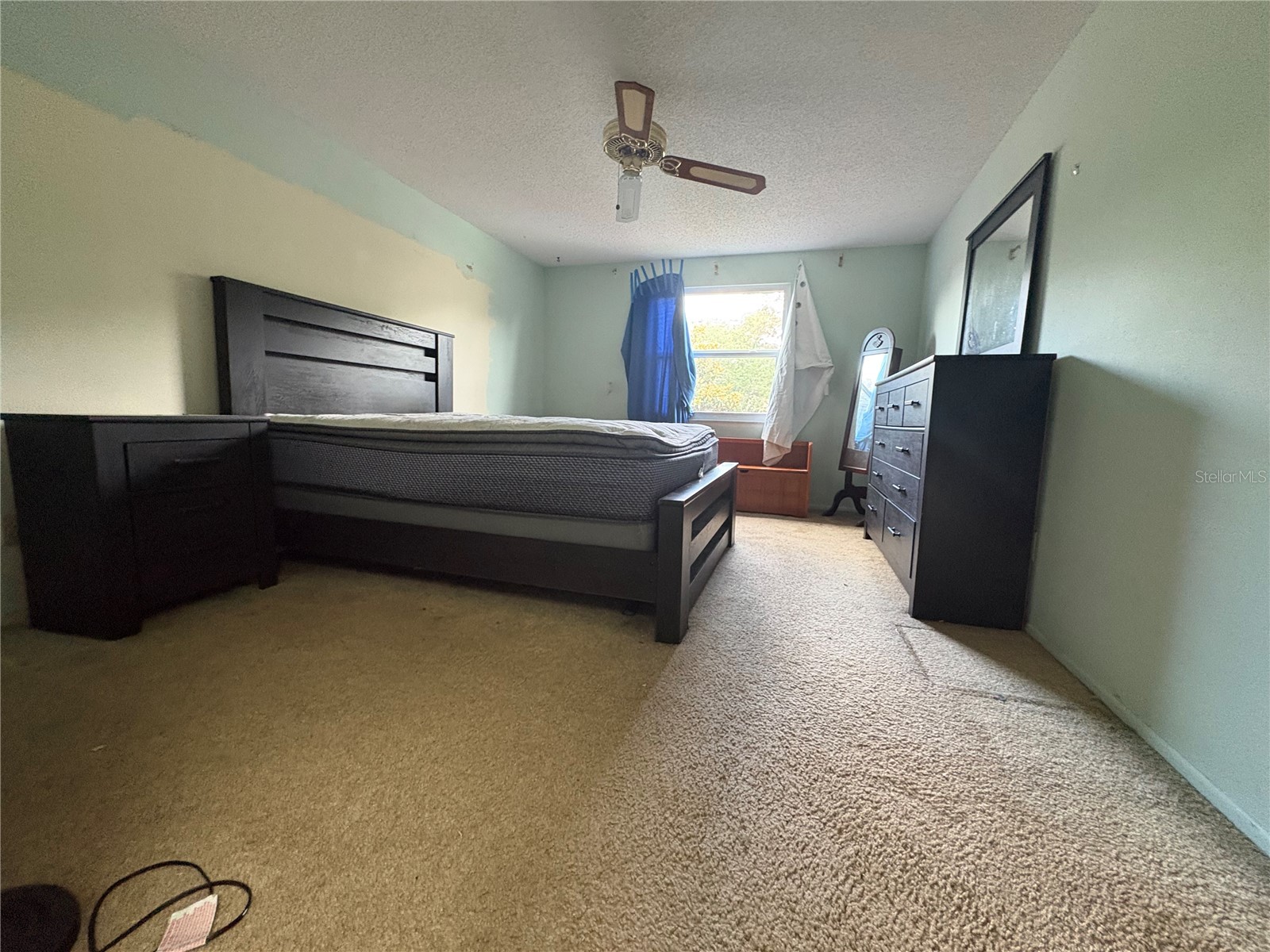 3407 Thalia Court Clearwater FL 33761 TB8495289 image10