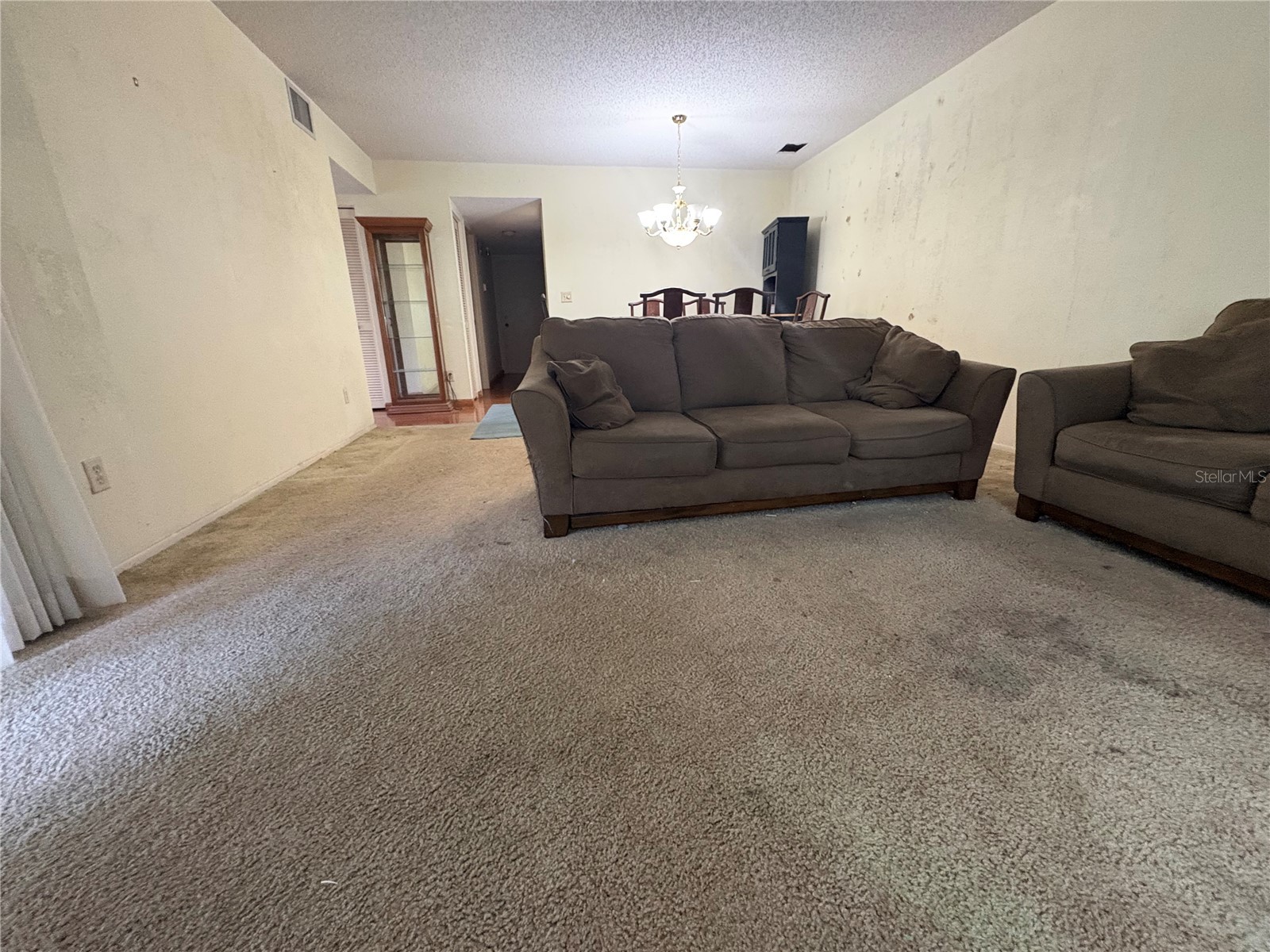 3407 Thalia Court Clearwater FL 33761 TB8495289 image7