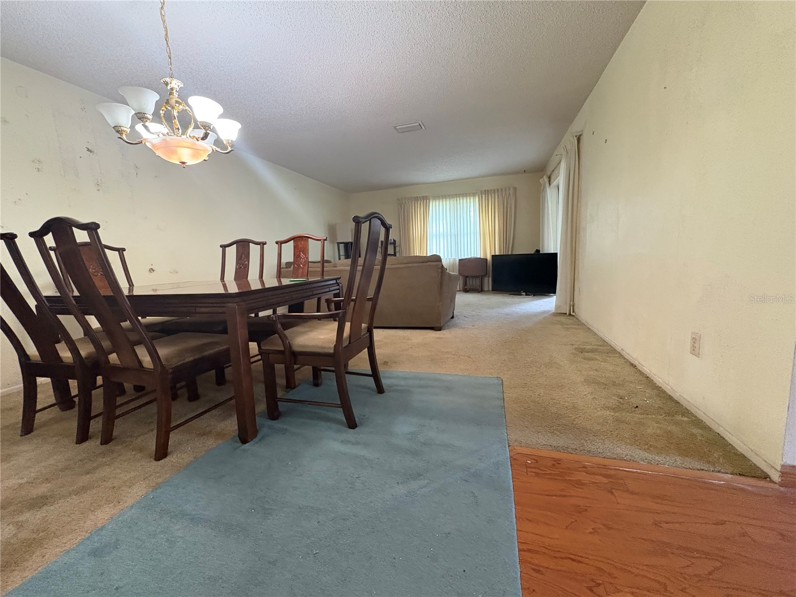 3407 Thalia Court Clearwater FL 33761 TB8495289 image8