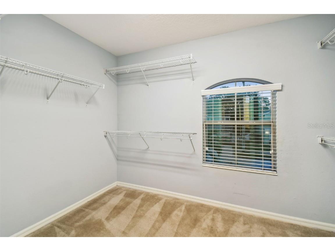 3407 W Bay Avenue Tampa FL 33611 TB8438692 image11