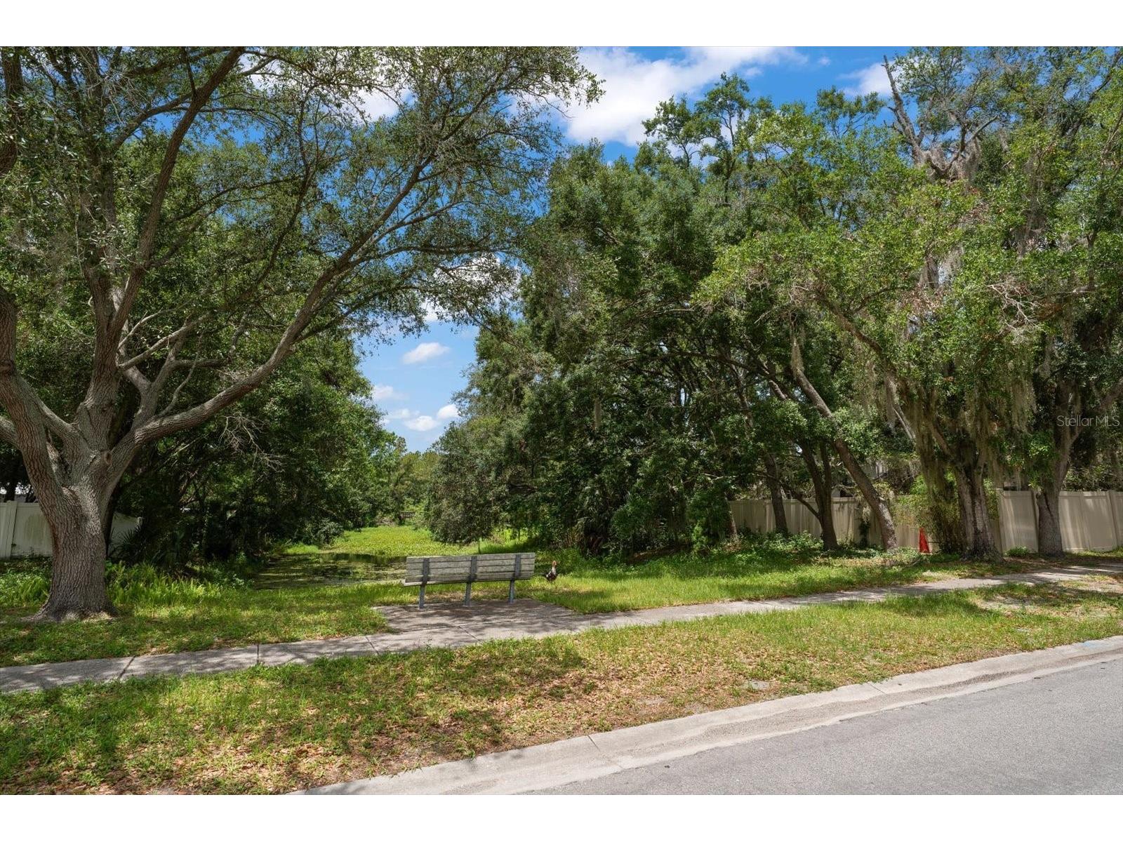 3408 Cullendale Drive Tampa FL 33618 - BRUSHY CREEK TB8514090 image28