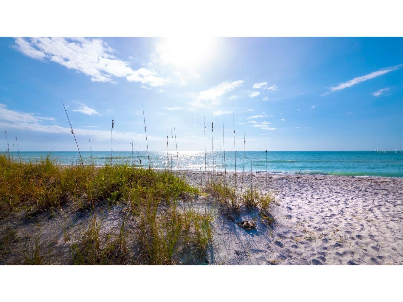 3408 Fair Oaks Lane Longboat Key FL 34228 A4667842 image63