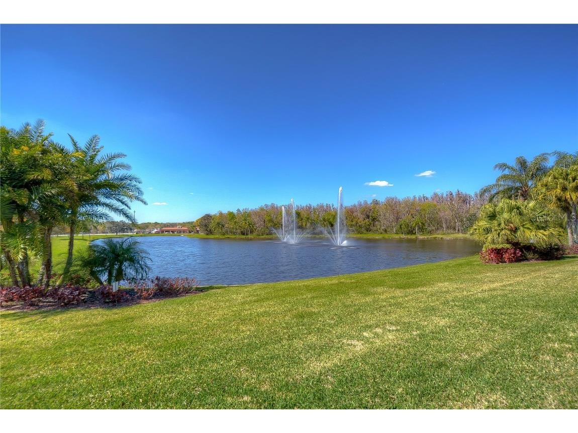 3408 Fox Squirrel Lane Valrico FL 33596 TB8451206 image35