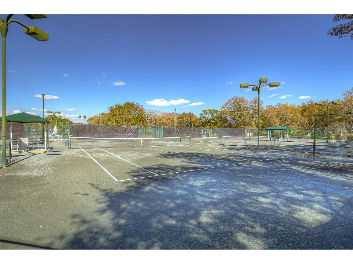 3408 Fox Squirrel Lane Valrico FL 33596 TB8451206 image37