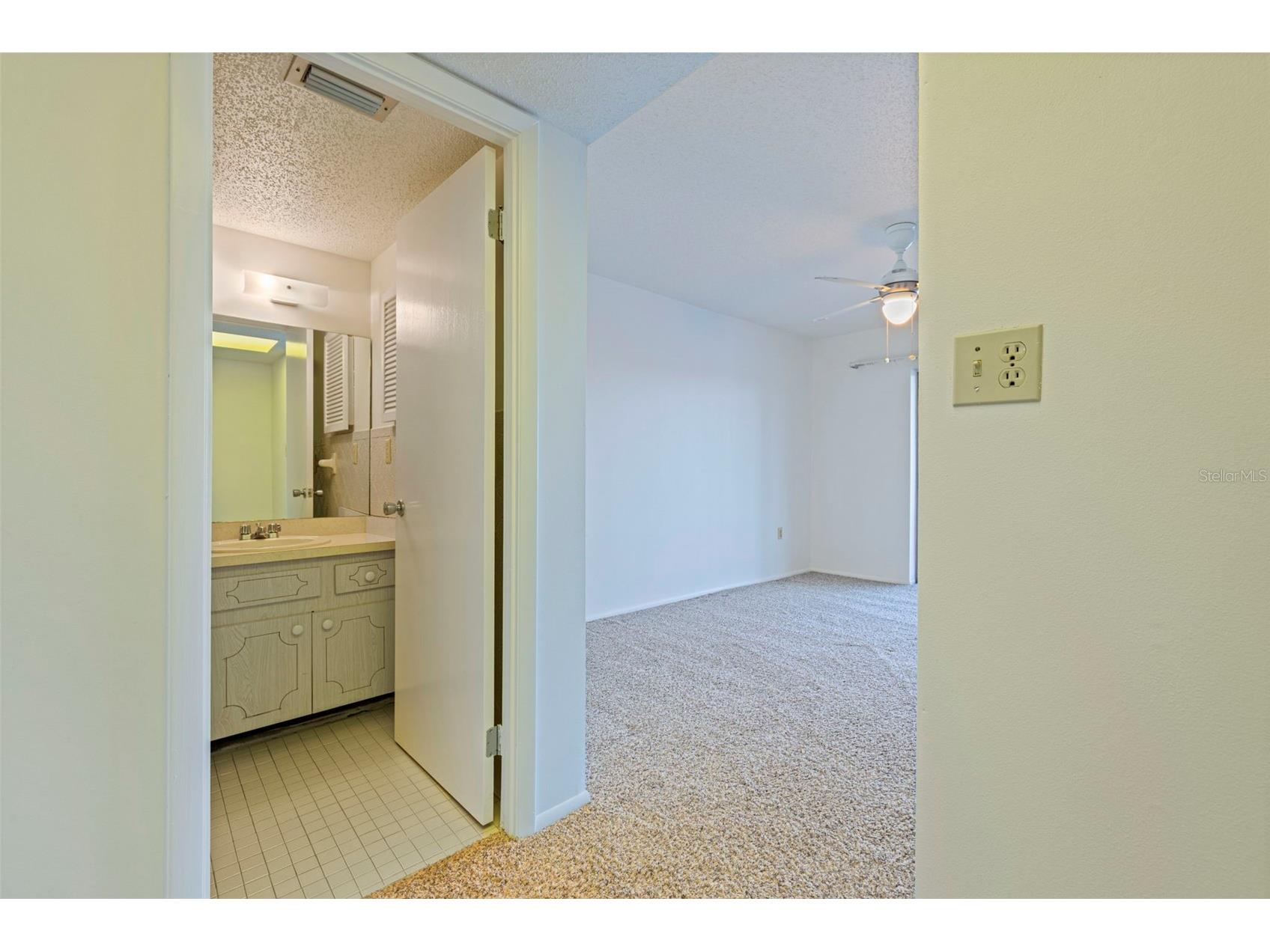 3408 Lake Bayshore Drive #P-317 Bradenton FL 34205 - BAYSHORE LAKE TB8480897 image32