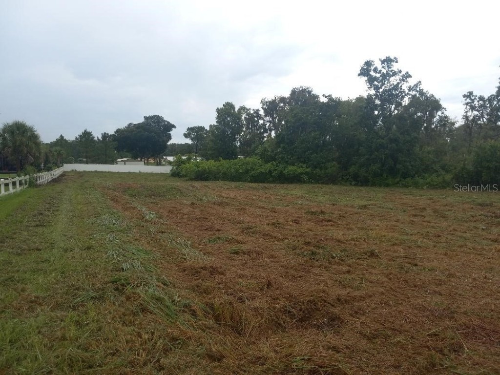 3408 N Forbes Road Plant City FL 33565 O5962592 image1