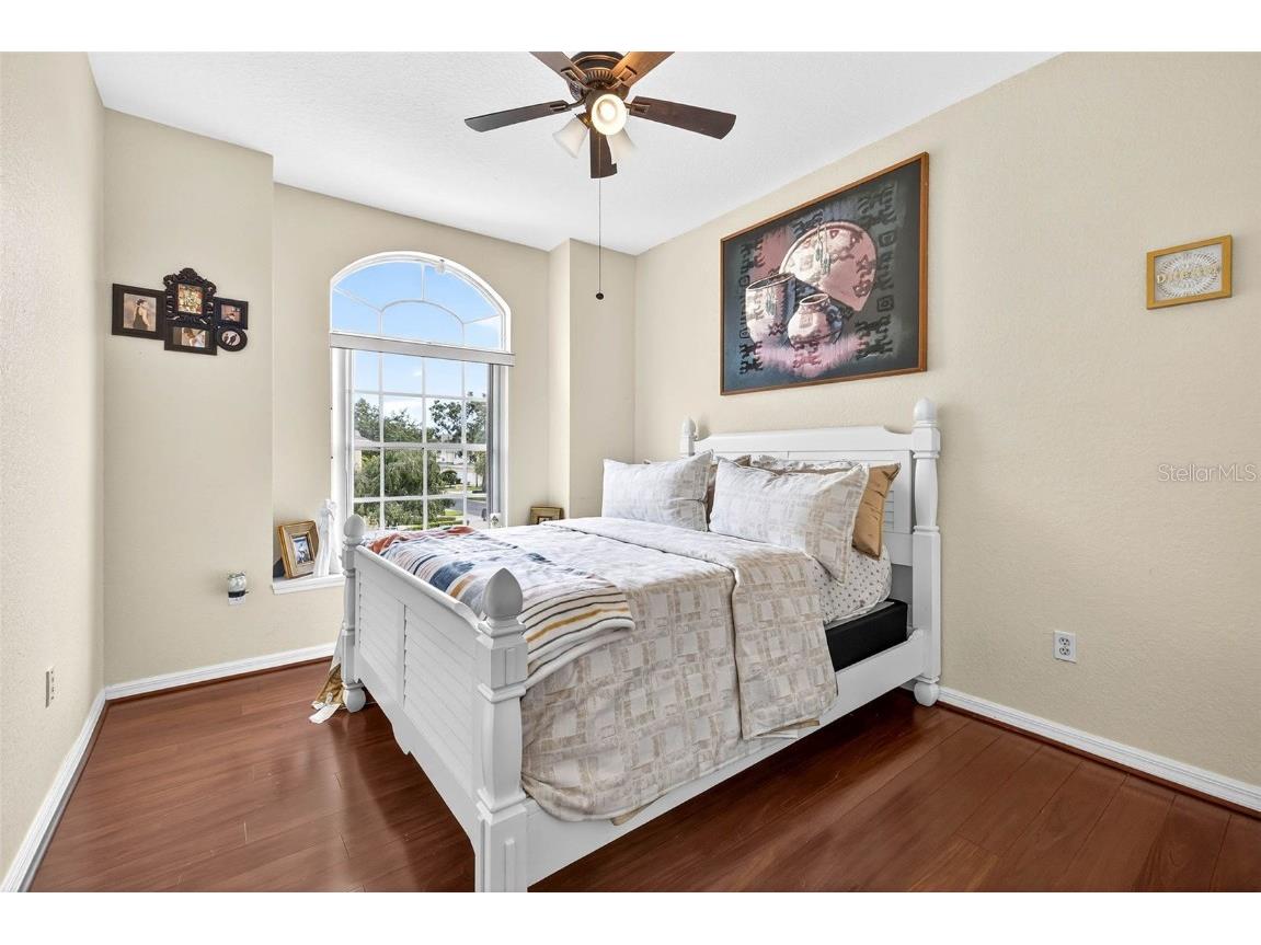 3408 Primrose Way Palm Harbor FL 34683 TB8431245 image10