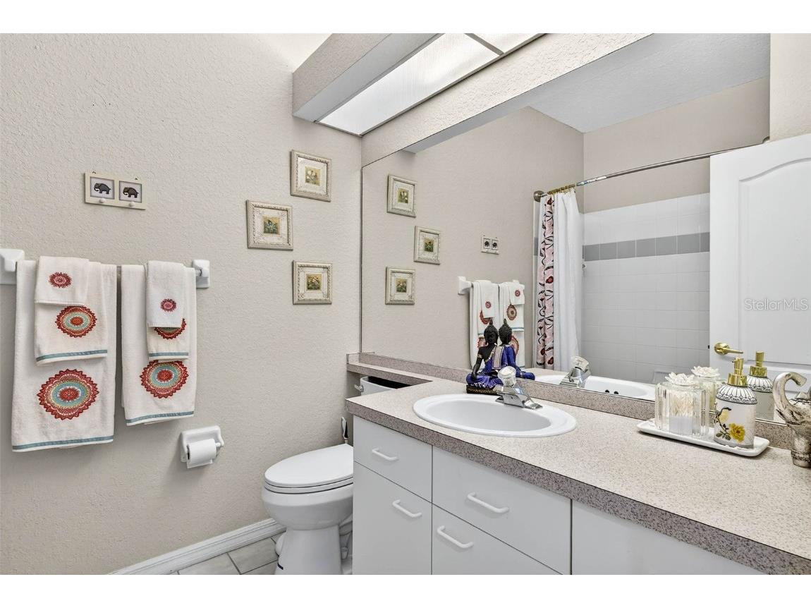 3408 Primrose Way Palm Harbor FL 34683 TB8431245 image12