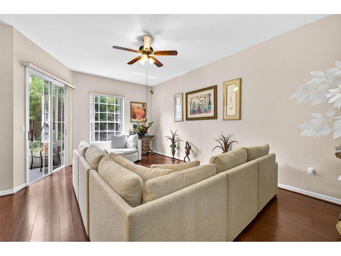 3408 Primrose Way Palm Harbor FL 34683 TB8431245 image17