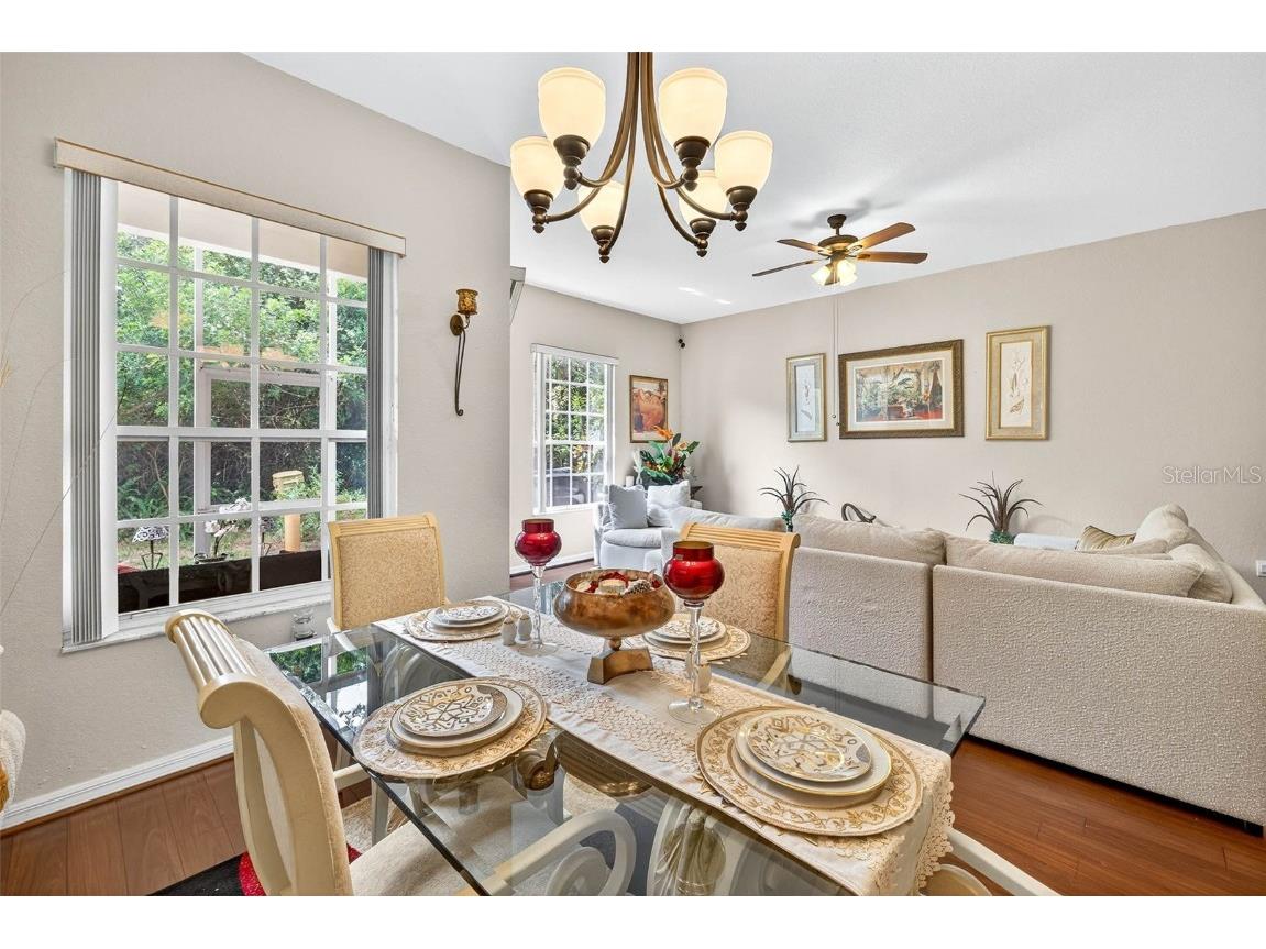 3408 Primrose Way Palm Harbor FL 34683 TB8431245 image19