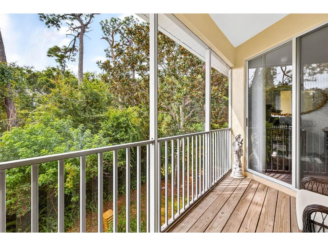 3408 Primrose Way Palm Harbor FL 34683 TB8431245 image22