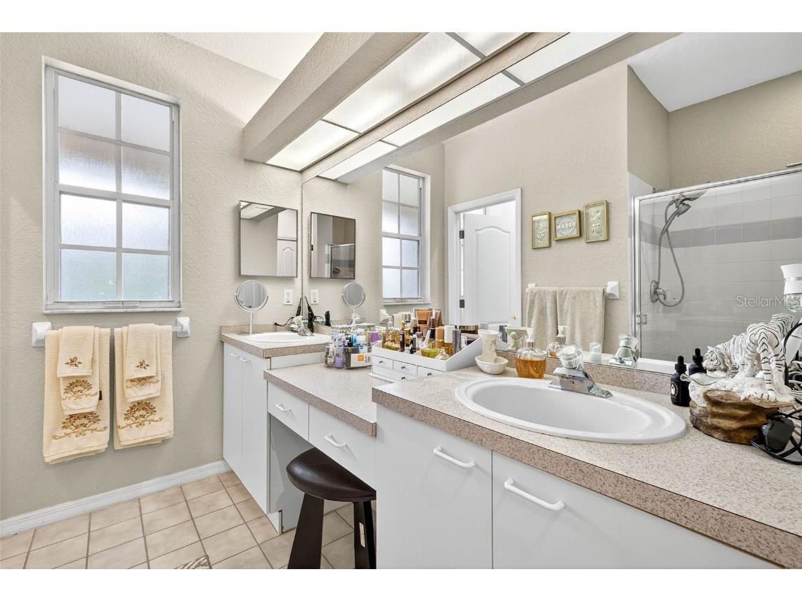 3408 Primrose Way Palm Harbor FL 34683 TB8431245 image23