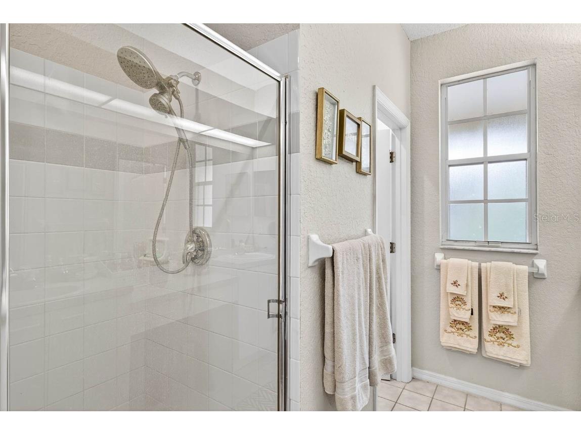 3408 Primrose Way Palm Harbor FL 34683 TB8431245 image24