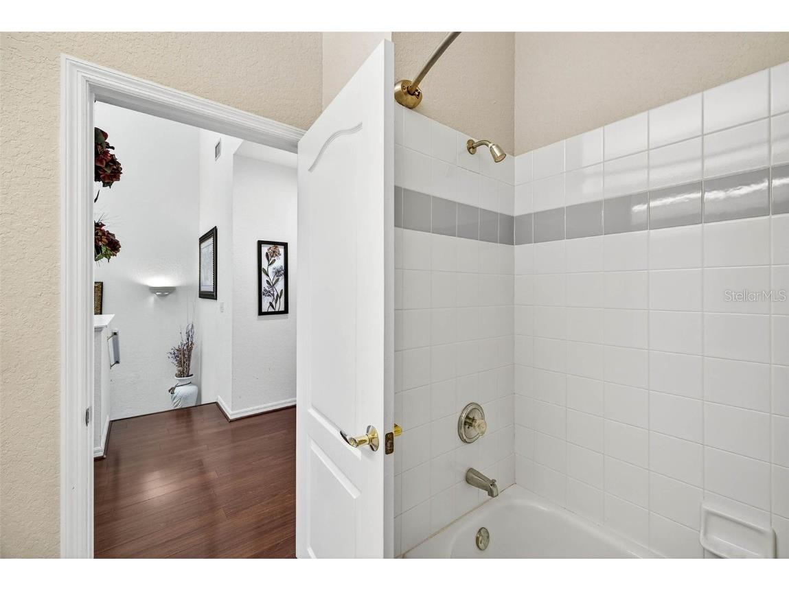 3408 Primrose Way Palm Harbor FL 34683 TB8431245 image27