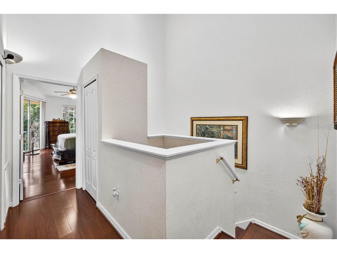 3408 Primrose Way Palm Harbor FL 34683 TB8431245 image28