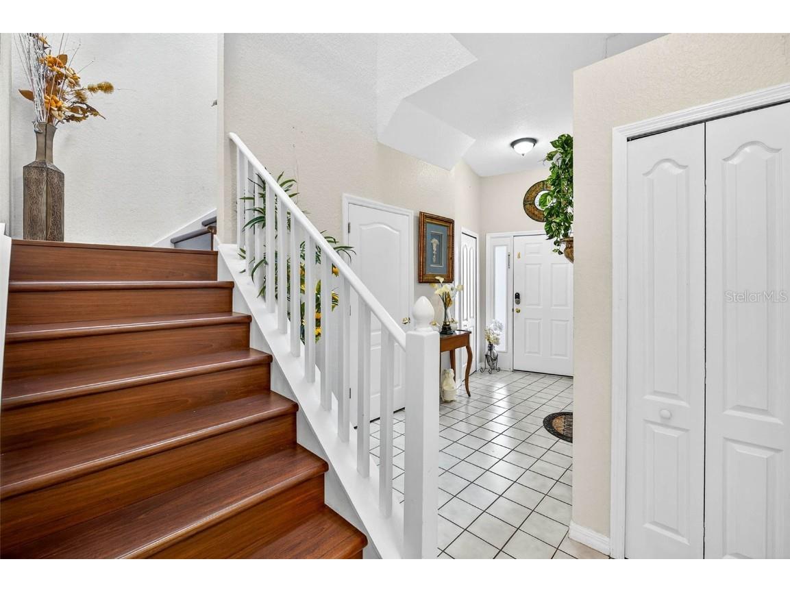 3408 Primrose Way Palm Harbor FL 34683 TB8431245 image29