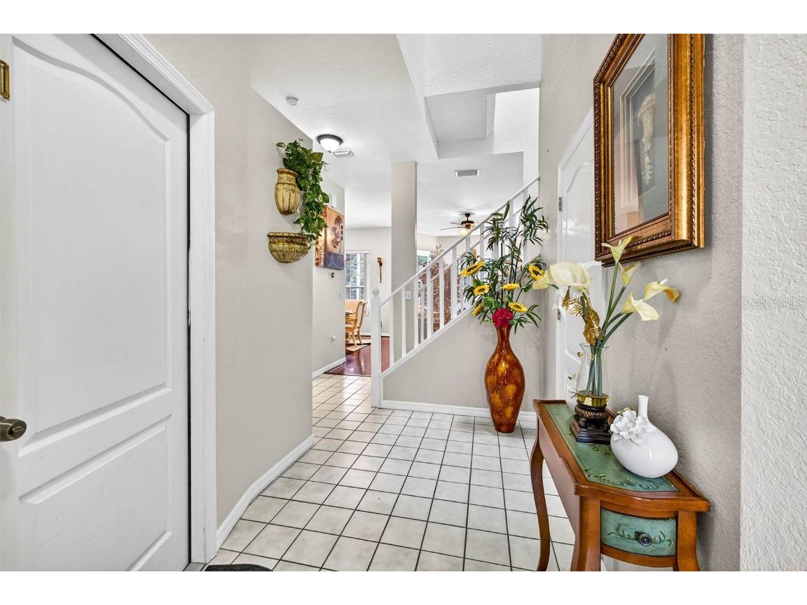 3408 Primrose Way Palm Harbor FL 34683 TB8431245 image31