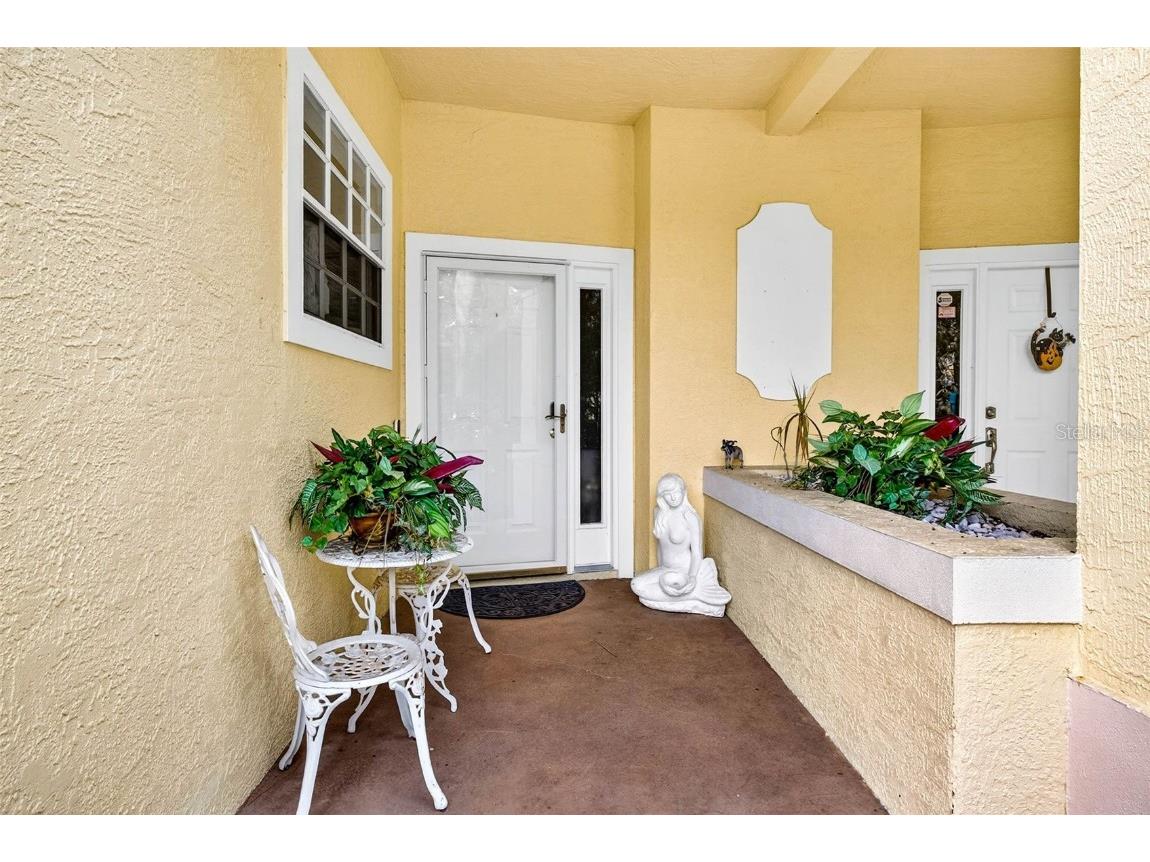 3408 Primrose Way Palm Harbor FL 34683 TB8431245 image35