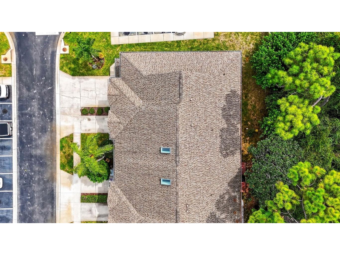 3408 Primrose Way Palm Harbor FL 34683 TB8431245 image39