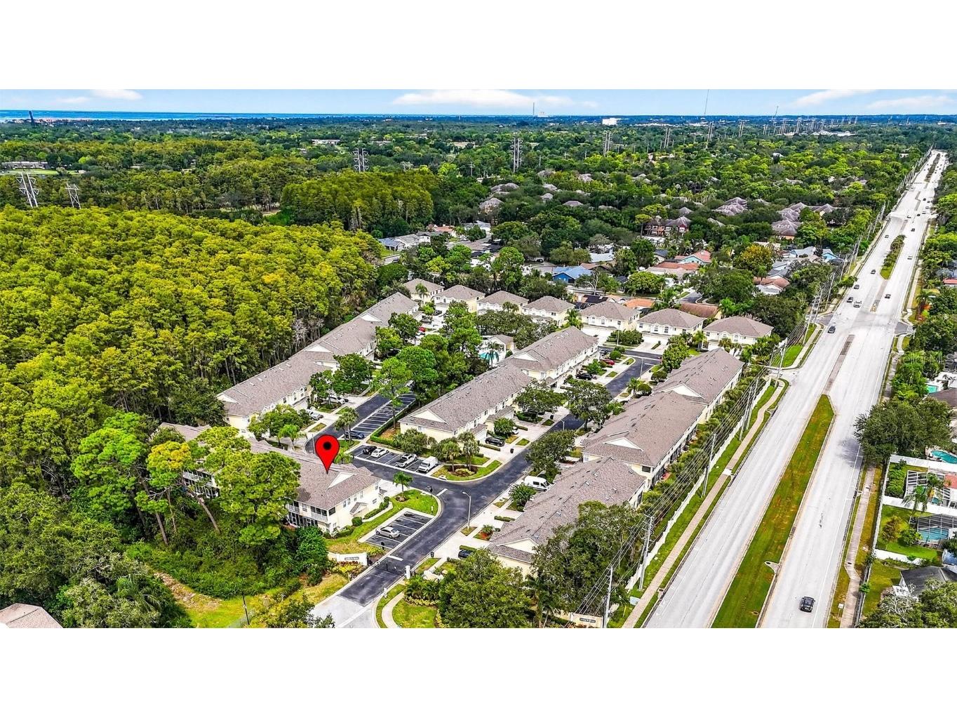 3408 Primrose Way Palm Harbor FL 34683 TB8431245 image40