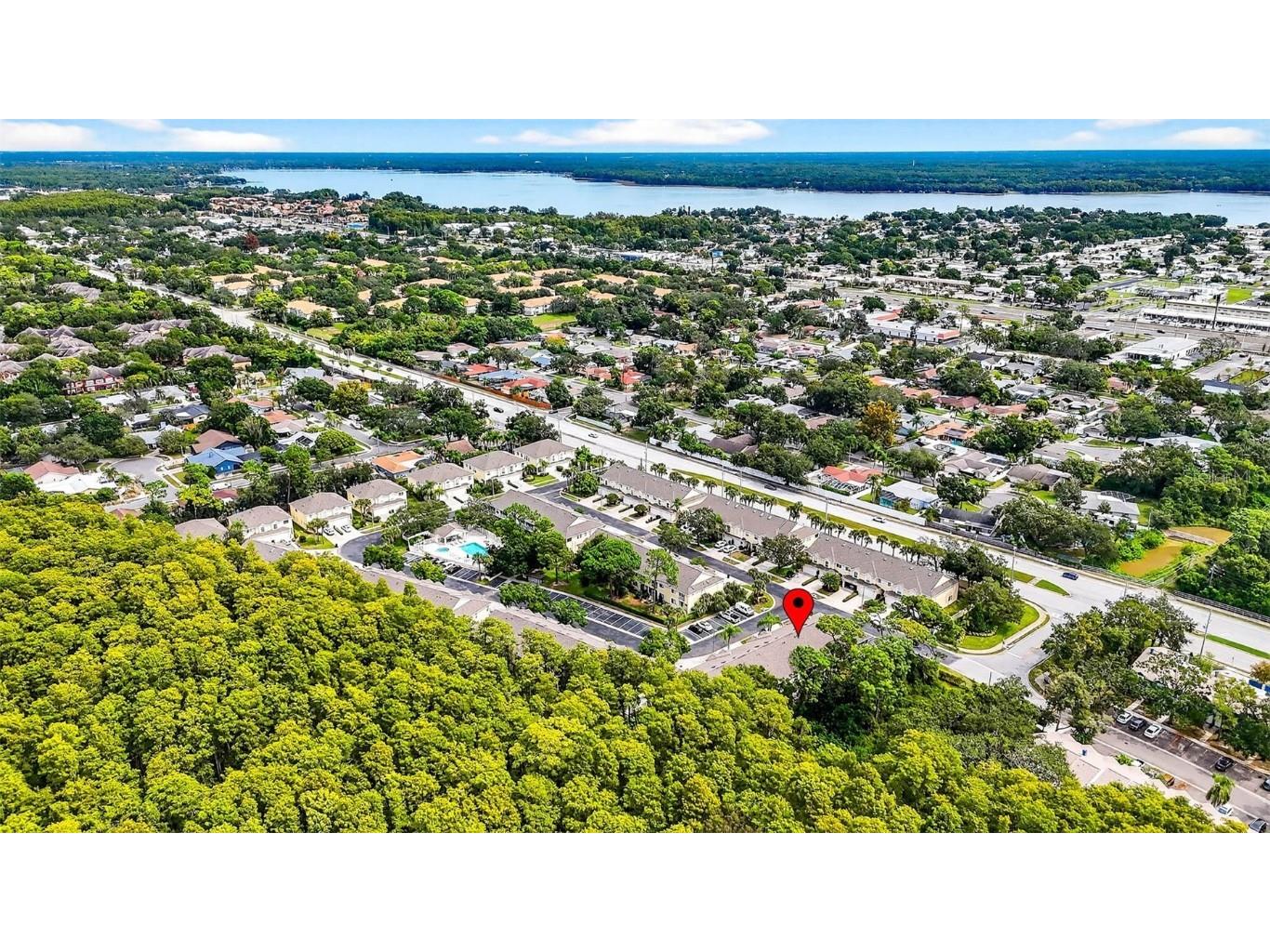 3408 Primrose Way Palm Harbor FL 34683 TB8431245 image41