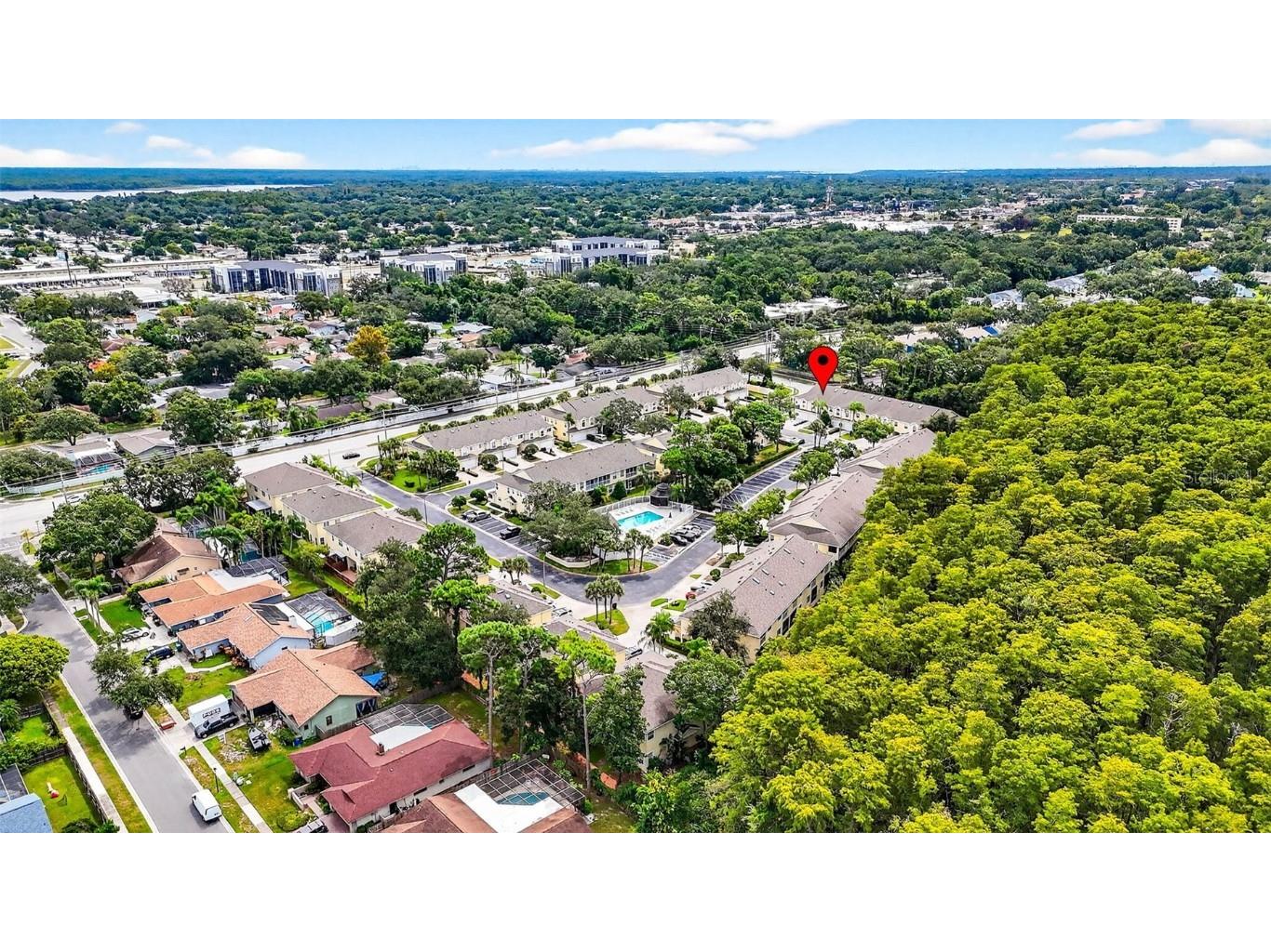 3408 Primrose Way Palm Harbor FL 34683 TB8431245 image42