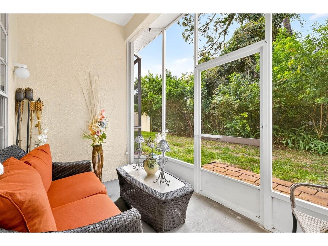 3408 Primrose Way Palm Harbor FL 34683 TB8431245 image5