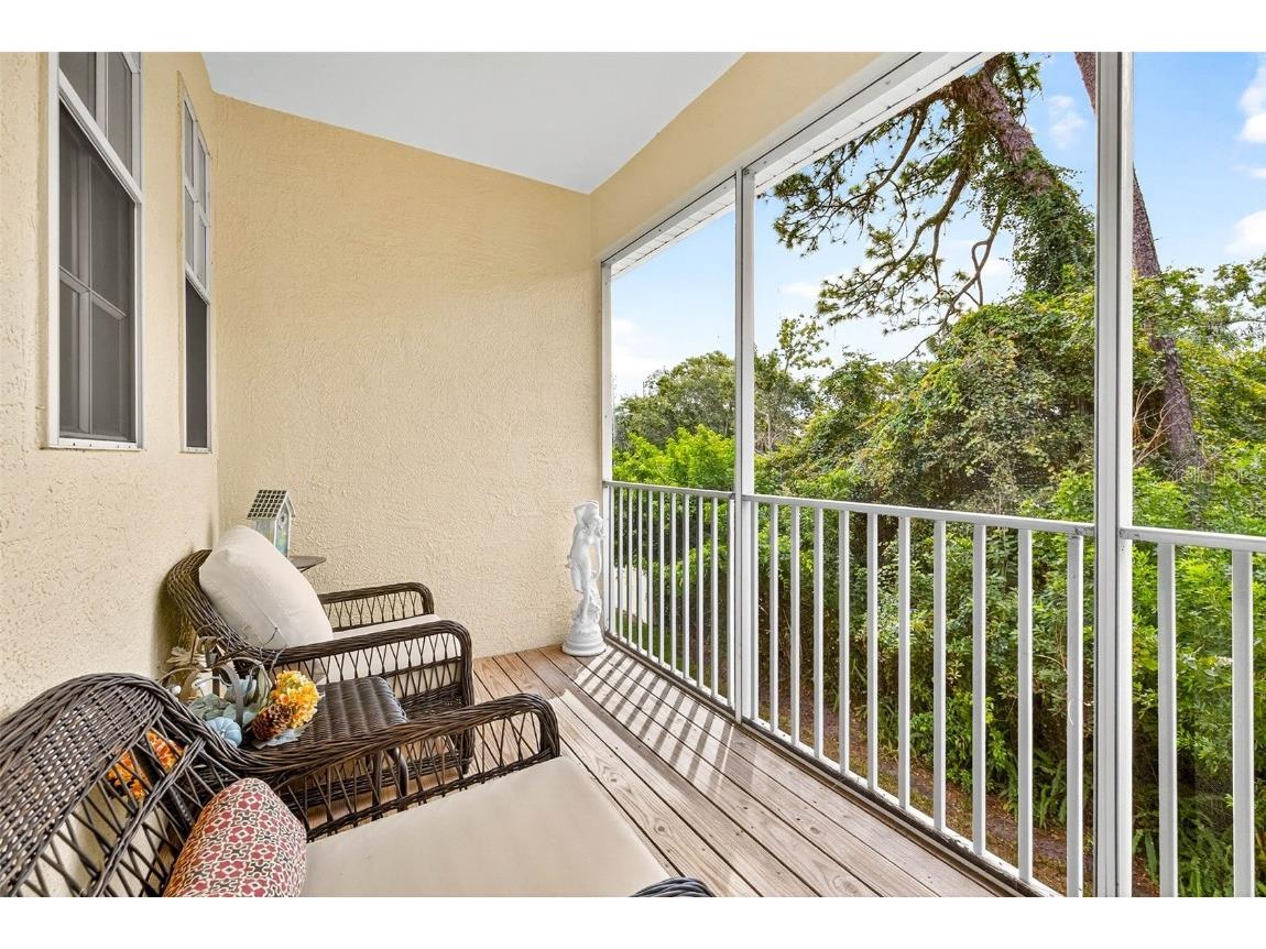 3408 Primrose Way Palm Harbor FL 34683 TB8431245 image8