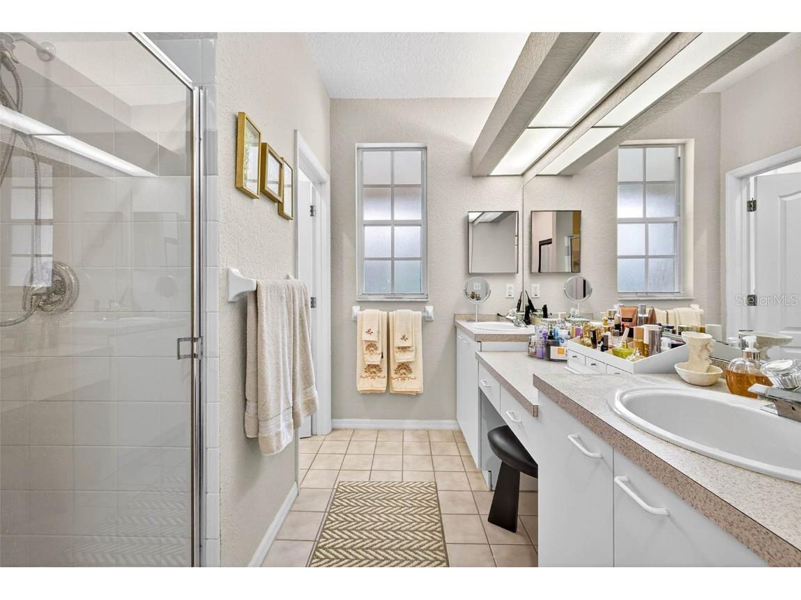 3408 Primrose Way Palm Harbor FL 34683 TB8431245 image9