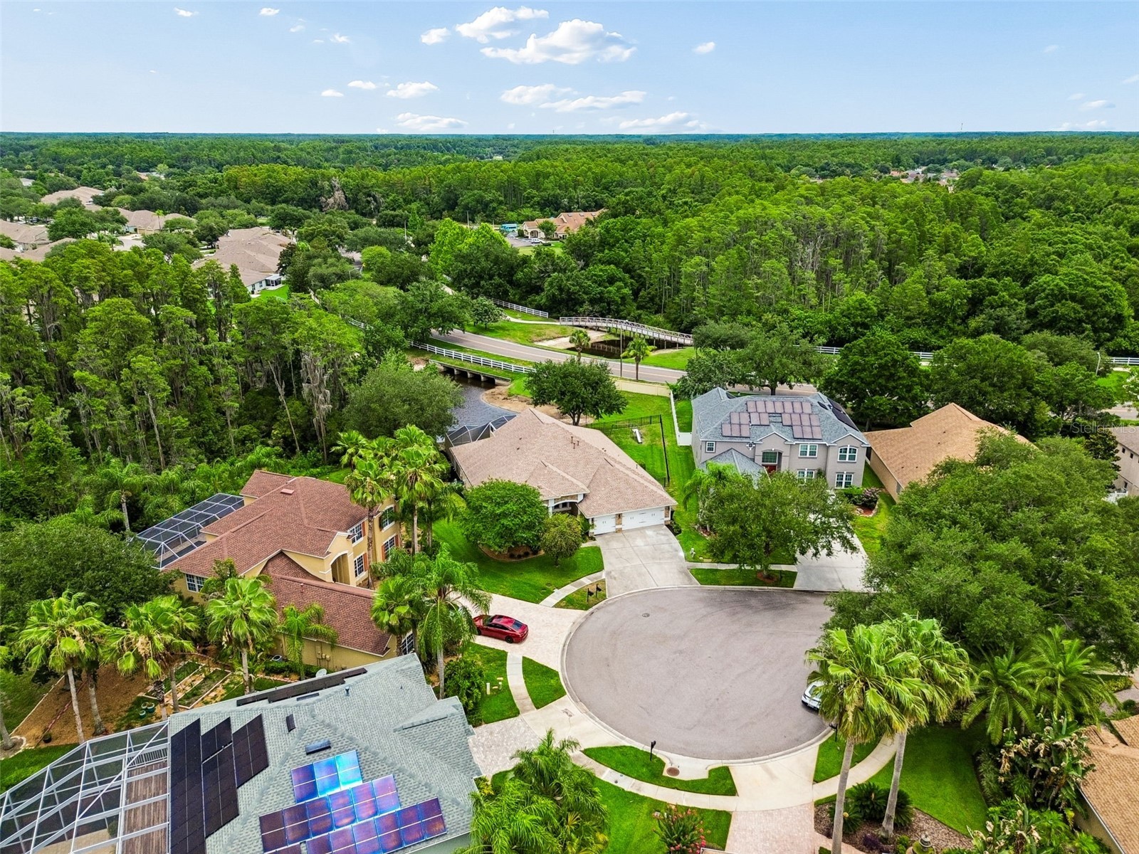 3408 Russett Place Land O Lakes FL 34638 TB8515707 image51