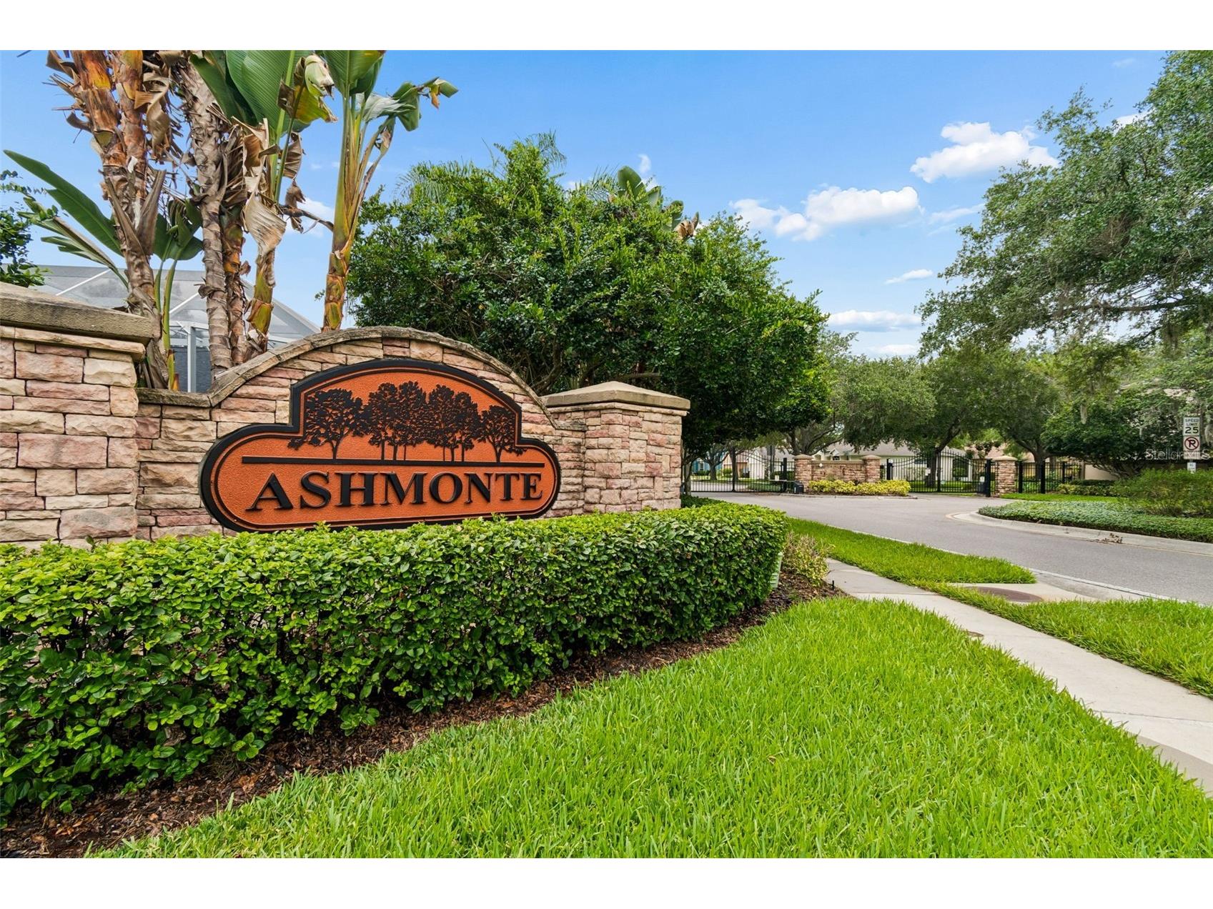 3408 Russett Place Land O Lakes FL 34638 TB8515707 image53
