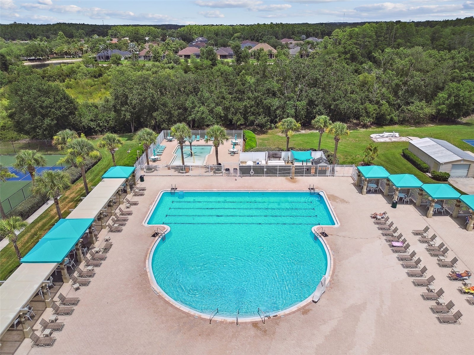 3408 Russett Place Land O Lakes FL 34638 TB8515707 image55