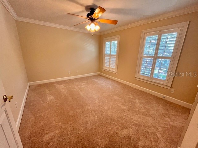 3408 W Bay Villa Avenue Tampa FL 33611 TB8487640 image21