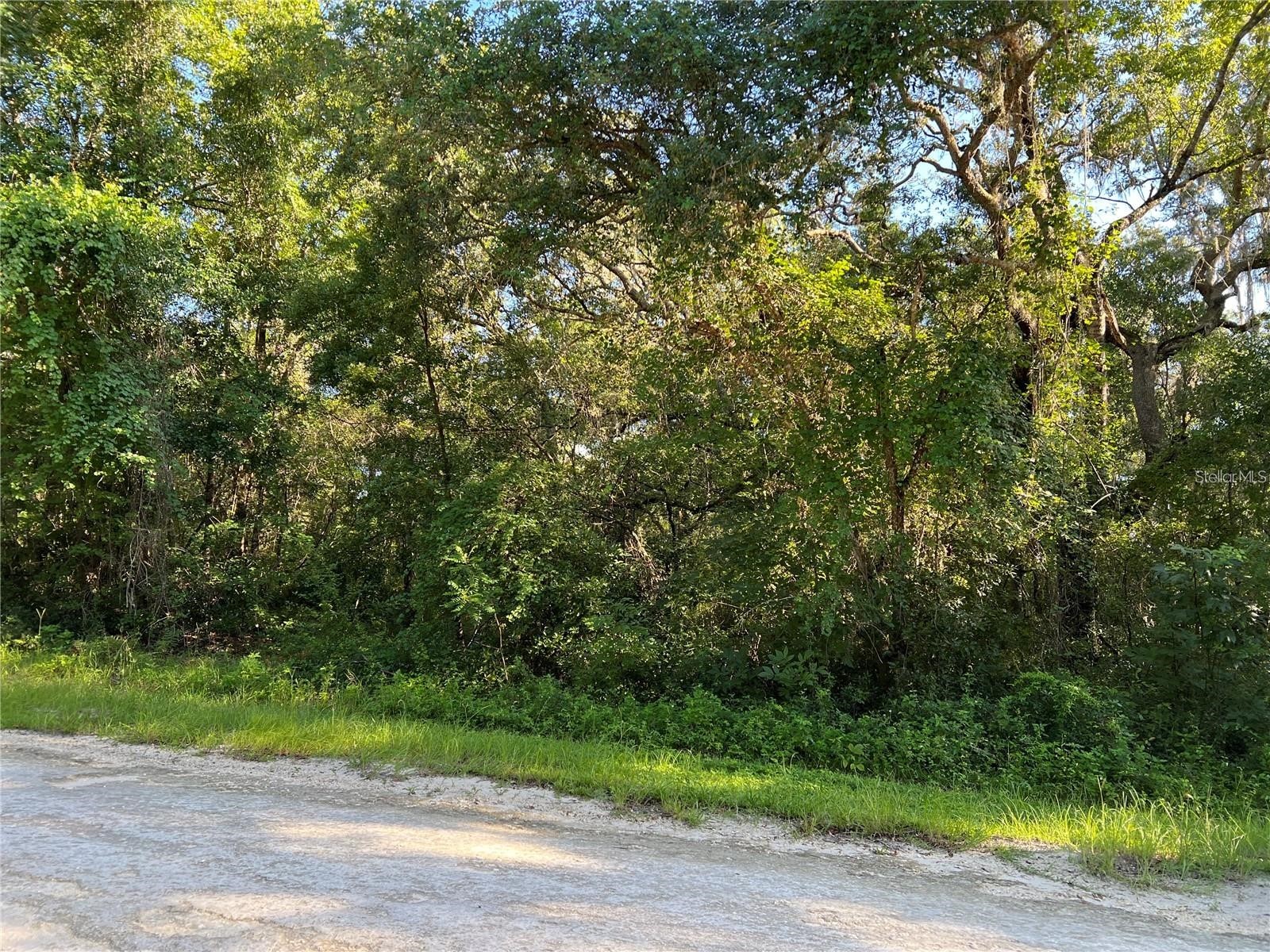34085 Arrowrock Street Webster FL 33597 TB8478653 image1