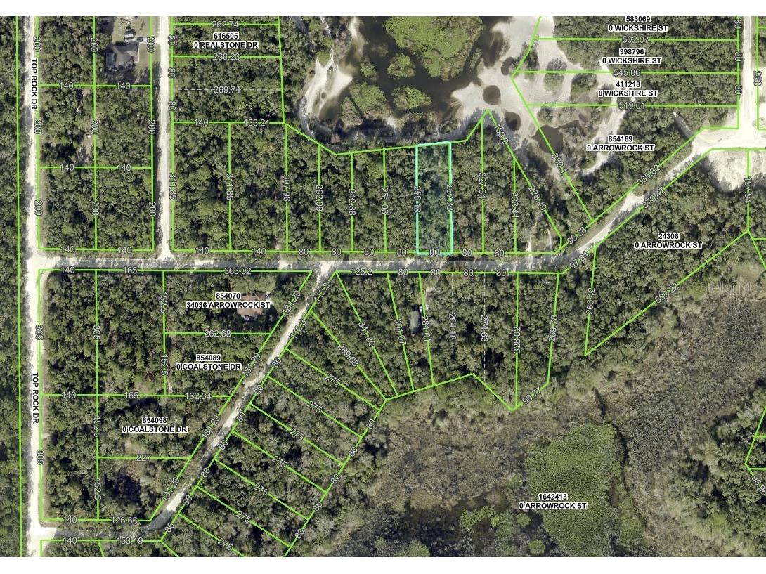 34085 Arrowrock Street Webster FL 33597 TB8478653 image10
