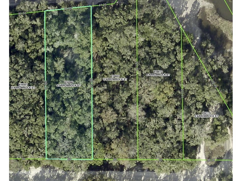 34085 Arrowrock Street Webster FL 33597 TB8478653 image12