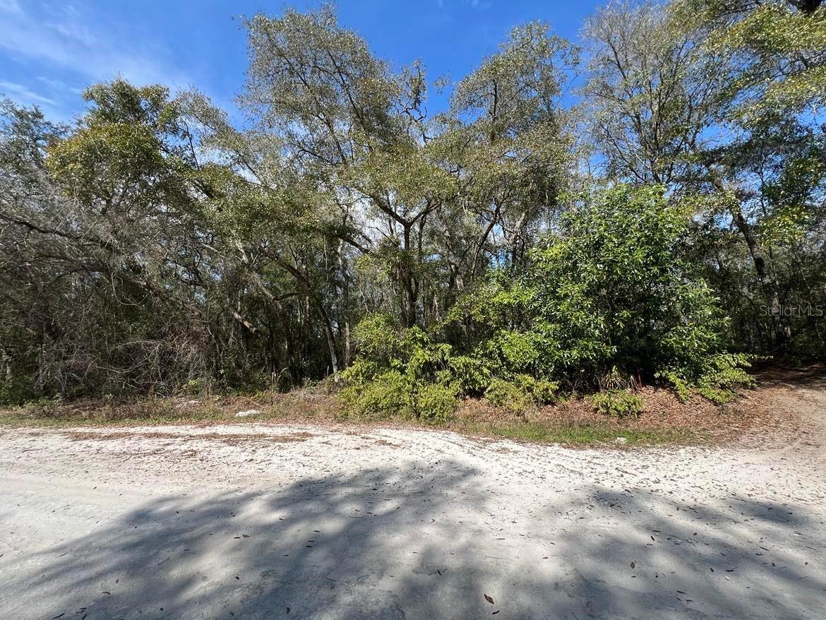 34085 Arrowrock Street Webster FL 33597 TB8478653 image2