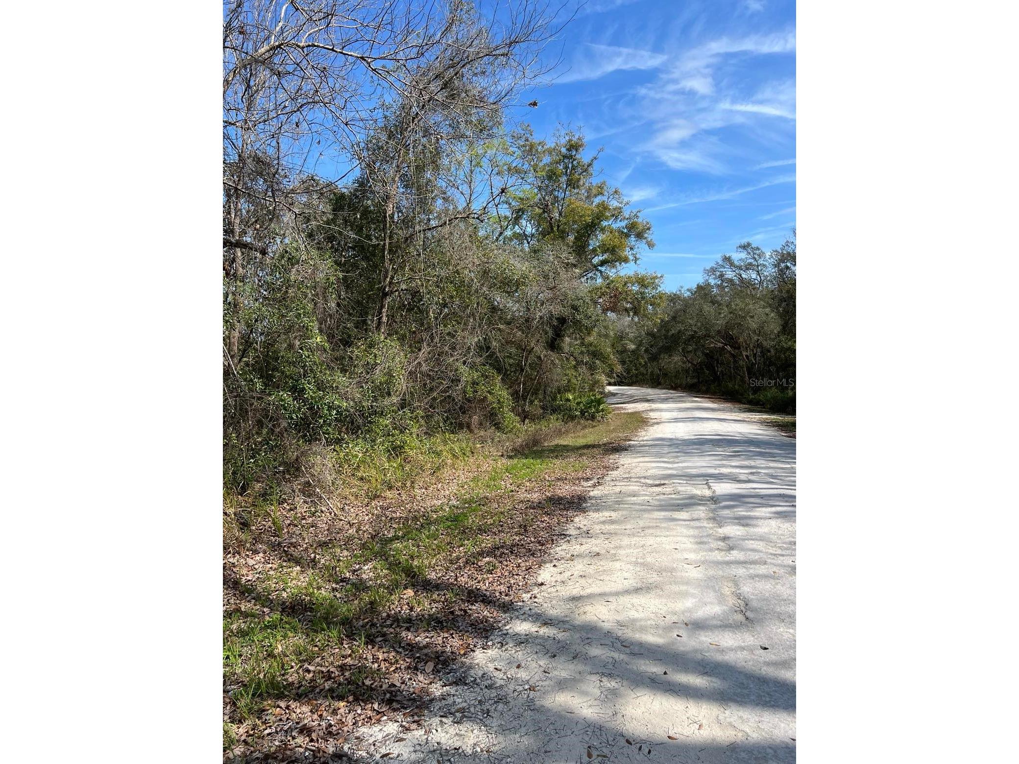 34085 Arrowrock Street Webster FL 33597 TB8478653 image3