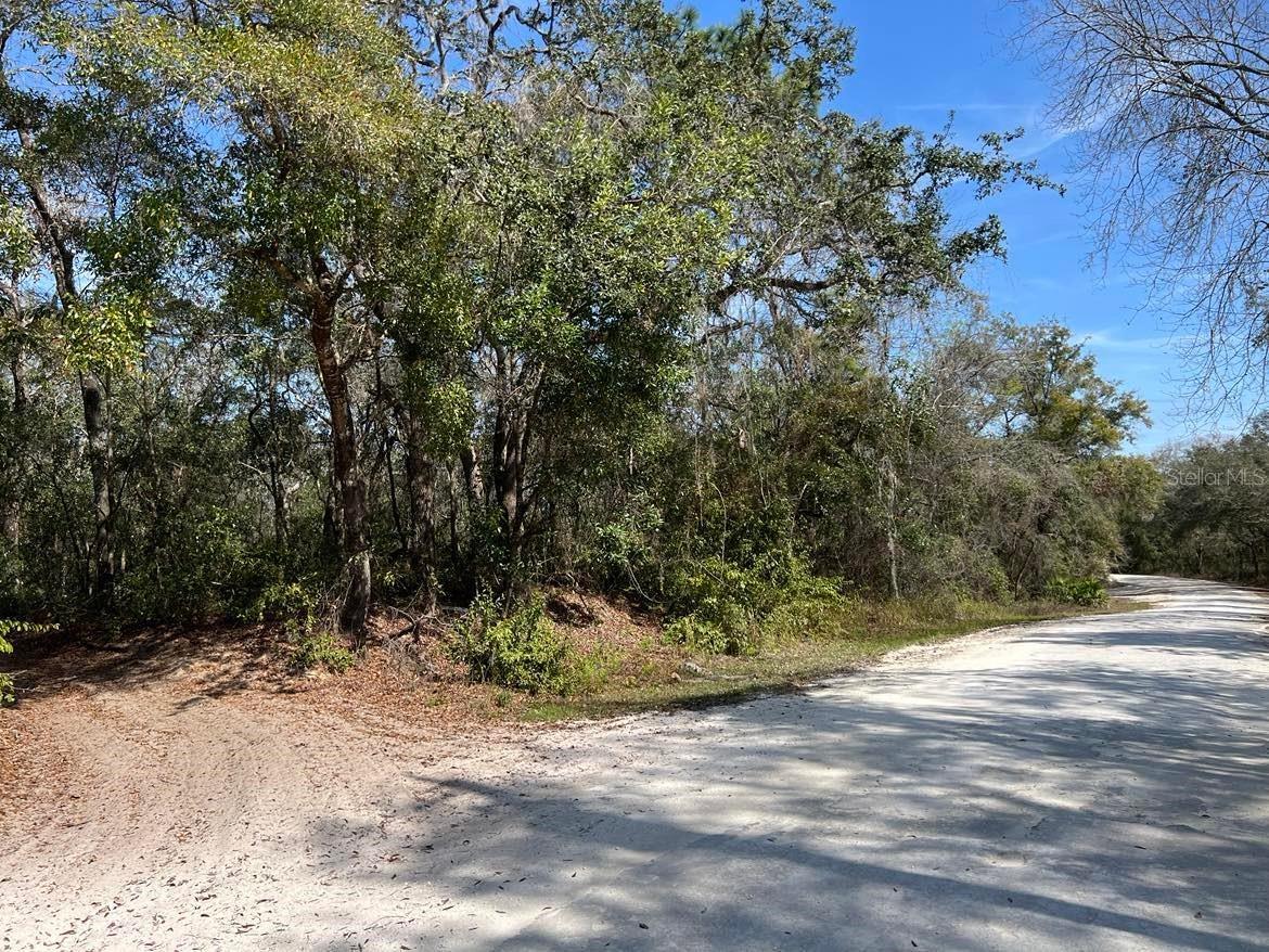 34085 Arrowrock Street Webster FL 33597 TB8478653 image4