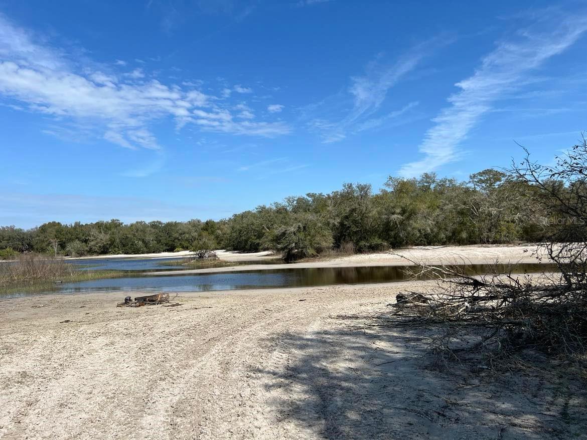 34085 Arrowrock Street Webster FL 33597 TB8478653 image5