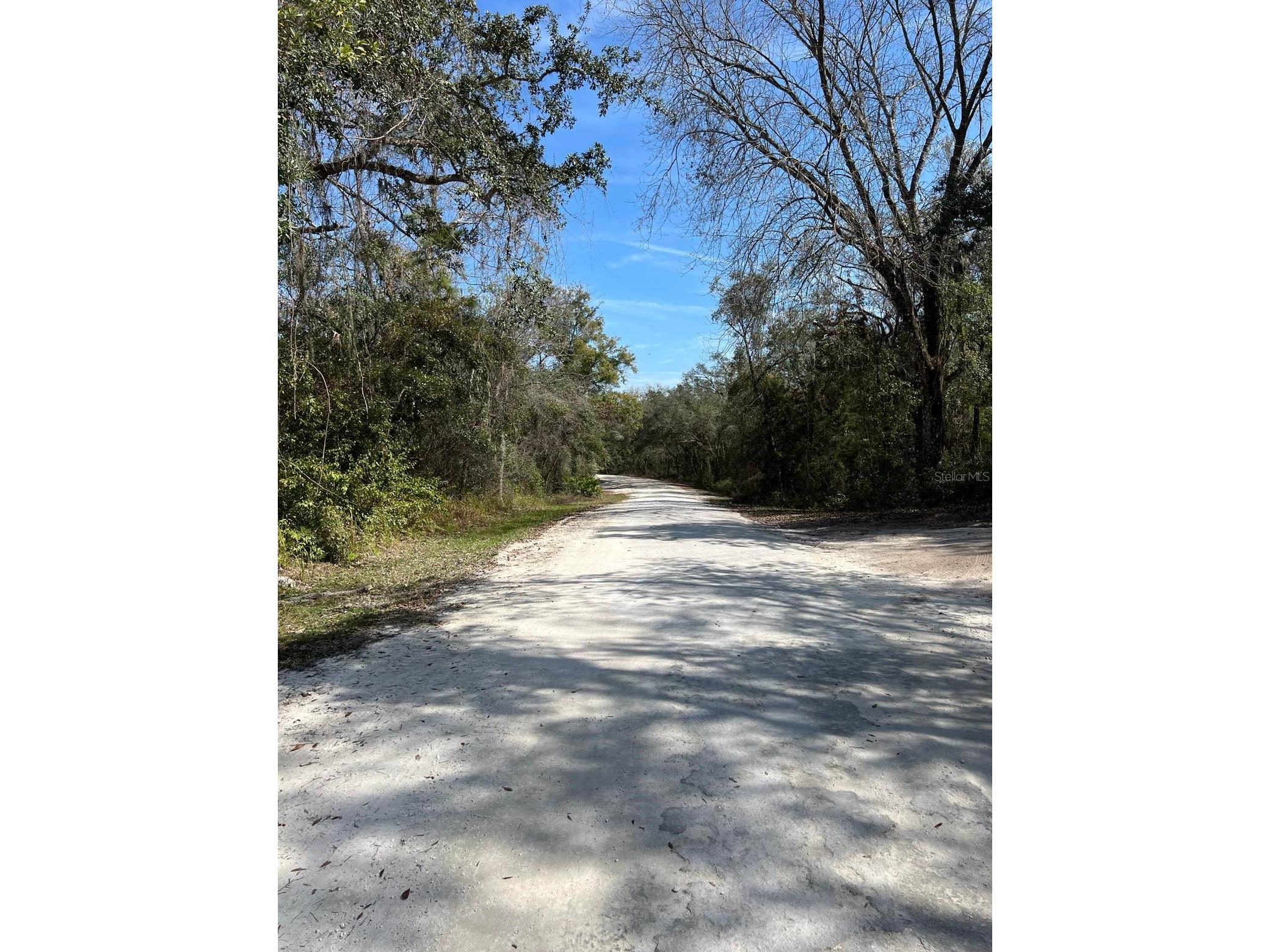 34085 Arrowrock Street Webster FL 33597 TB8478653 image7