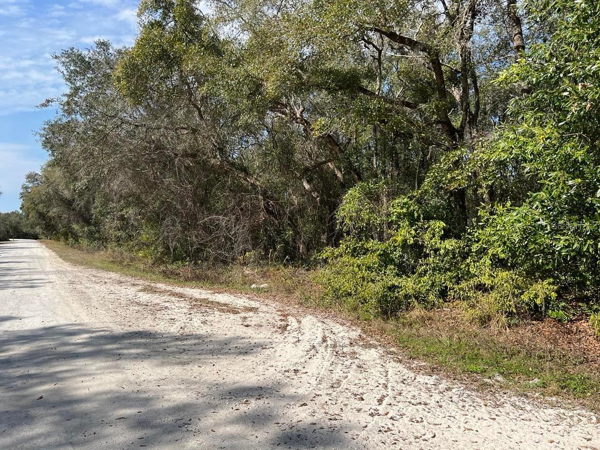 34085 Arrowrock Street Webster FL 33597 TB8478653 image9