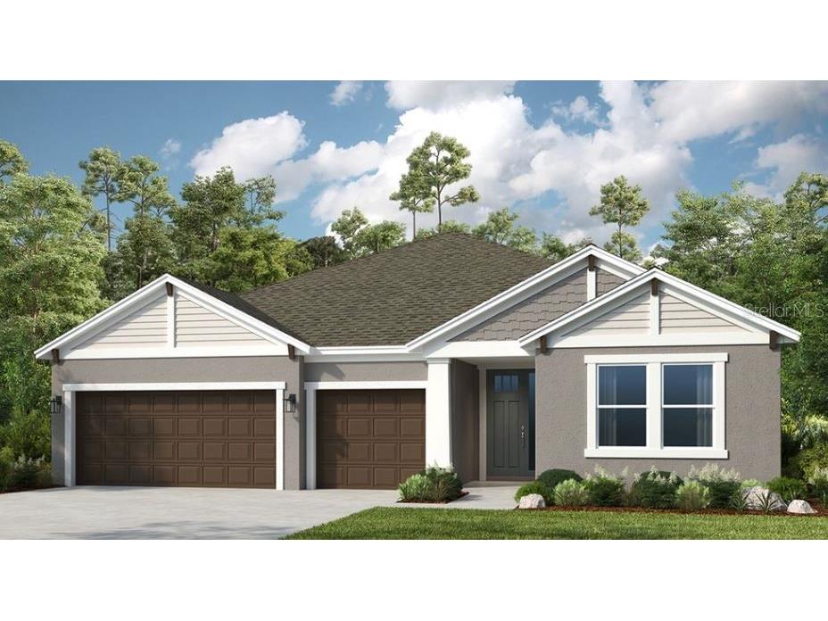 34088 Anchor Light Lane Wesley Chapel FL 33543 TB8362202 image1